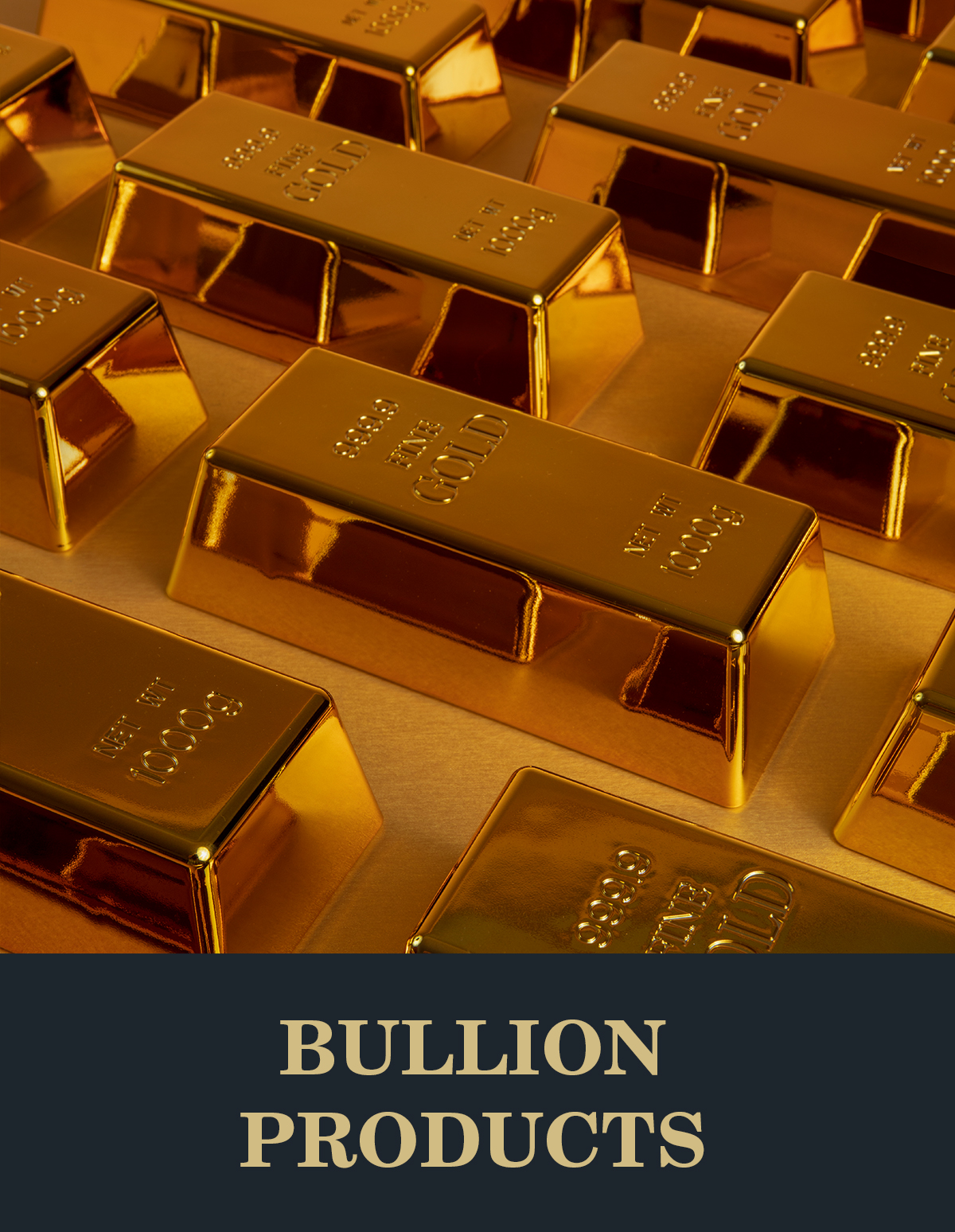 bullion-products-v3-1.jpg